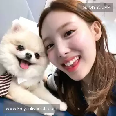 朱泓洁